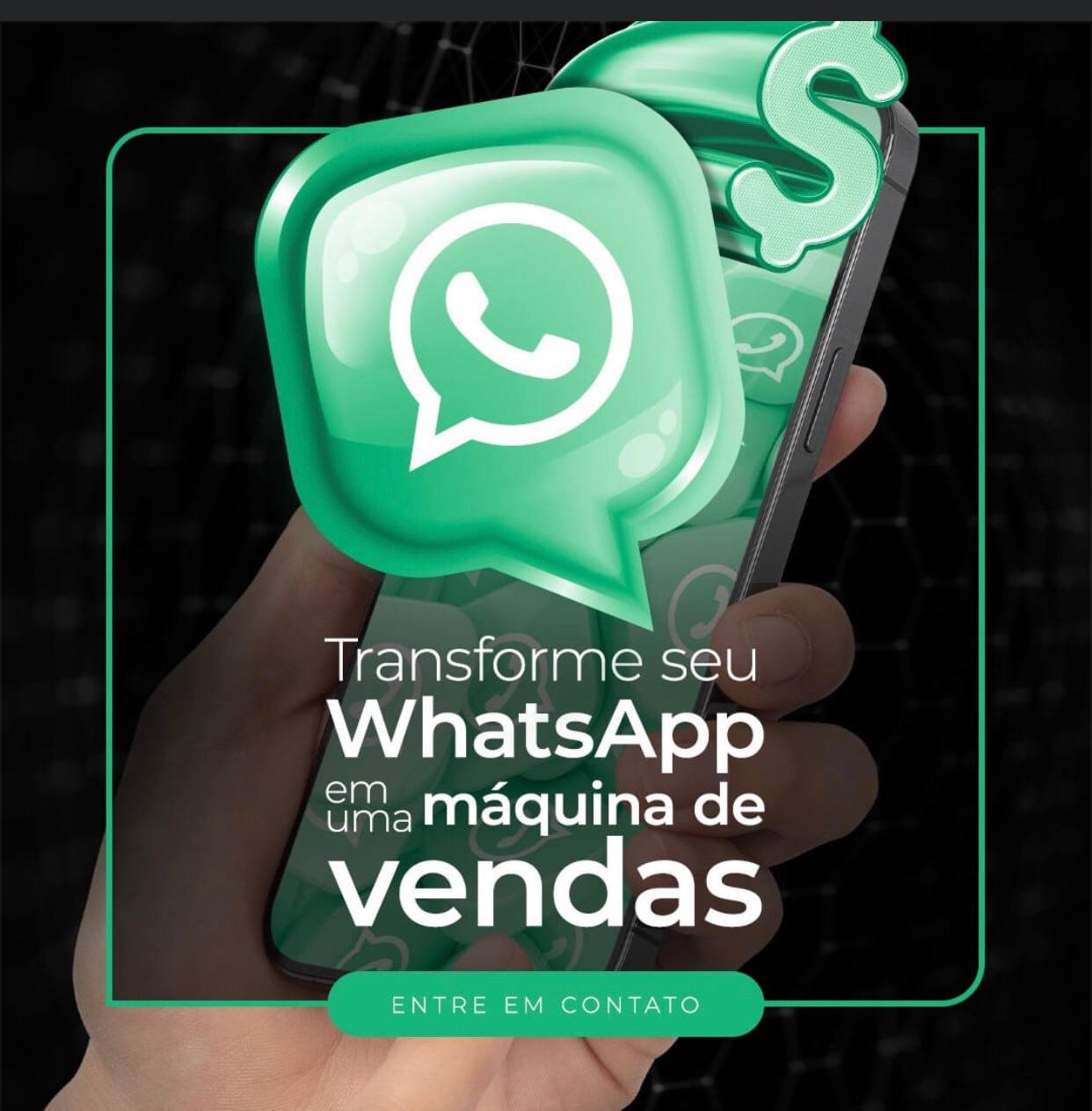 photo_13_2024-12-31_07-17-12